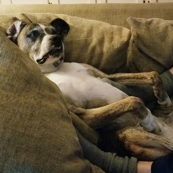 Welcome!! - Picture 8 of 8